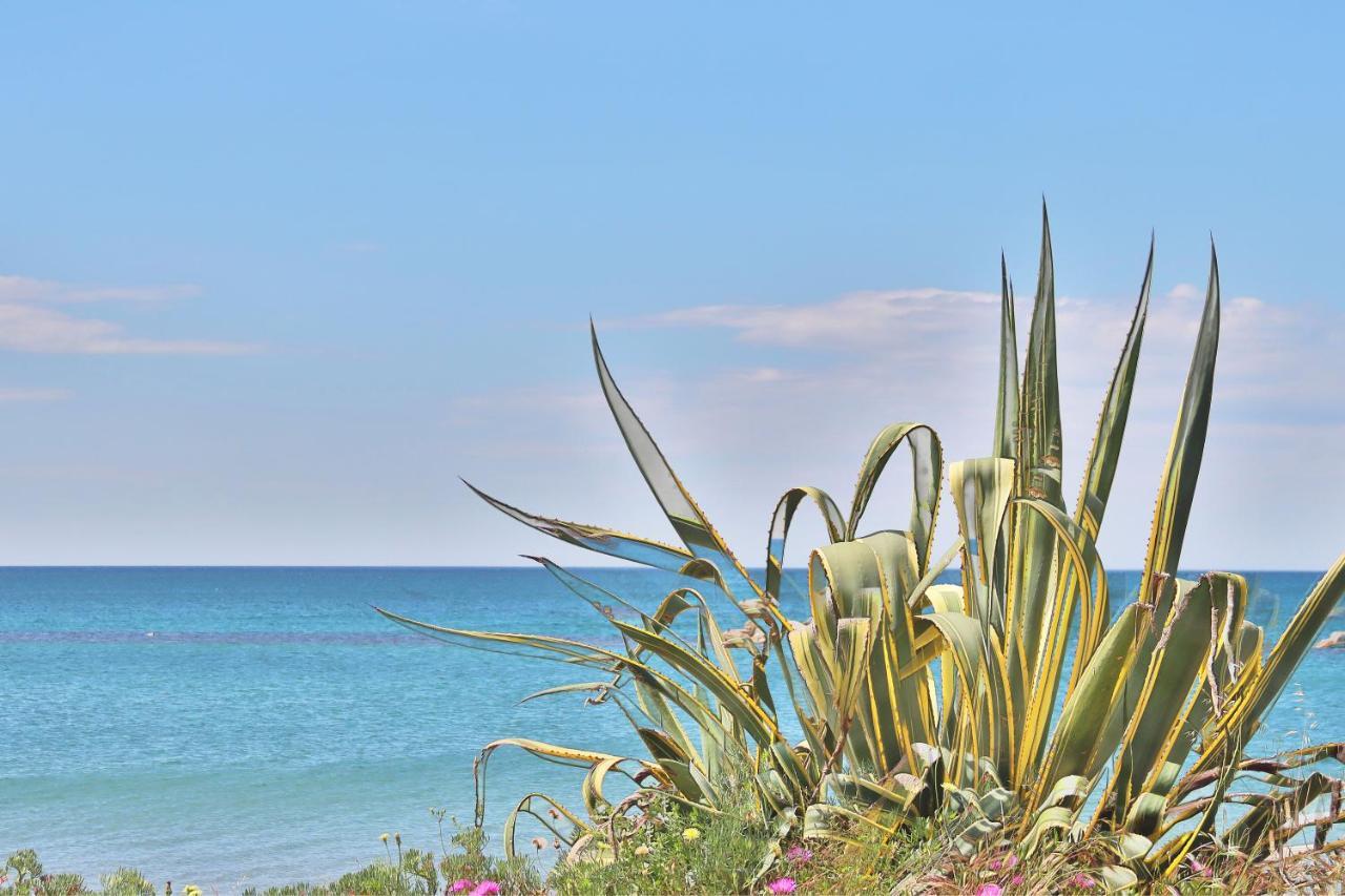 Holiday Home Arzilli Follonica Exterior foto